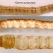 Larva • Larva in February. Reared in Typha, ex ovo leg. Nick Lear. Gloucestershire. • © Ian Smith