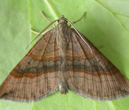 Ex. Larva, Chorlton, Gtr. Manchester &bull; &copy; Ben Smart