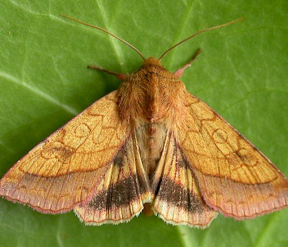 St. Helens, Merseyside &bull; &copy; Ben Smart