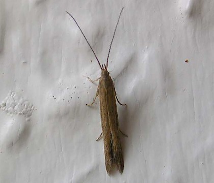 Adult &bull; Chorlton, Manchester &bull; &copy; Ben Smart